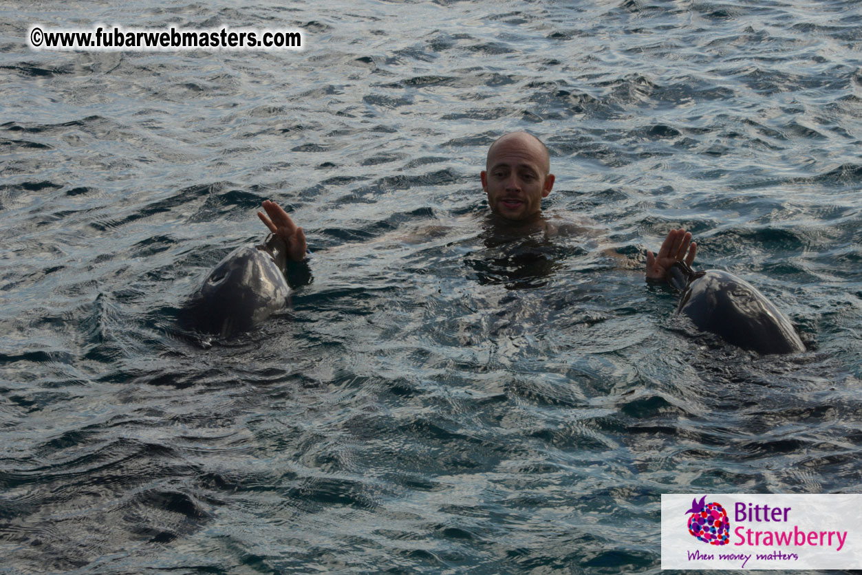 WireCard Dolphin Swim