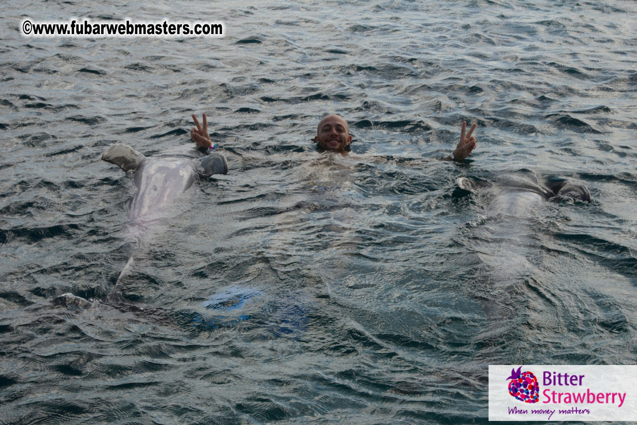 WireCard Dolphin Swim