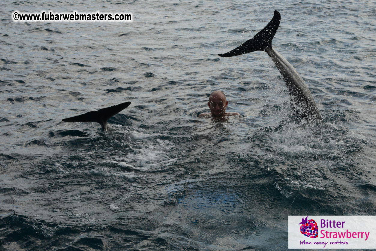 WireCard Dolphin Swim