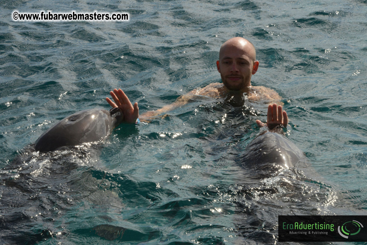 WireCard Dolphin Swim