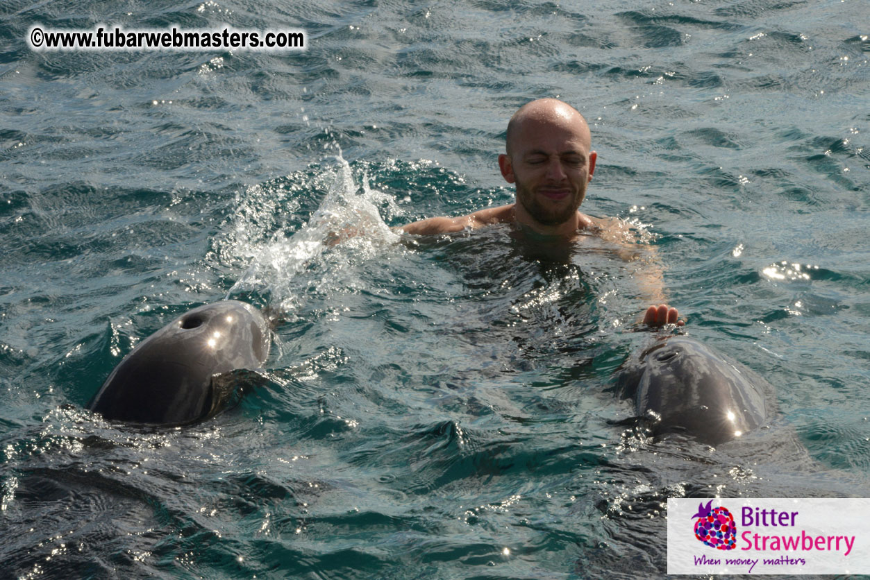 WireCard Dolphin Swim