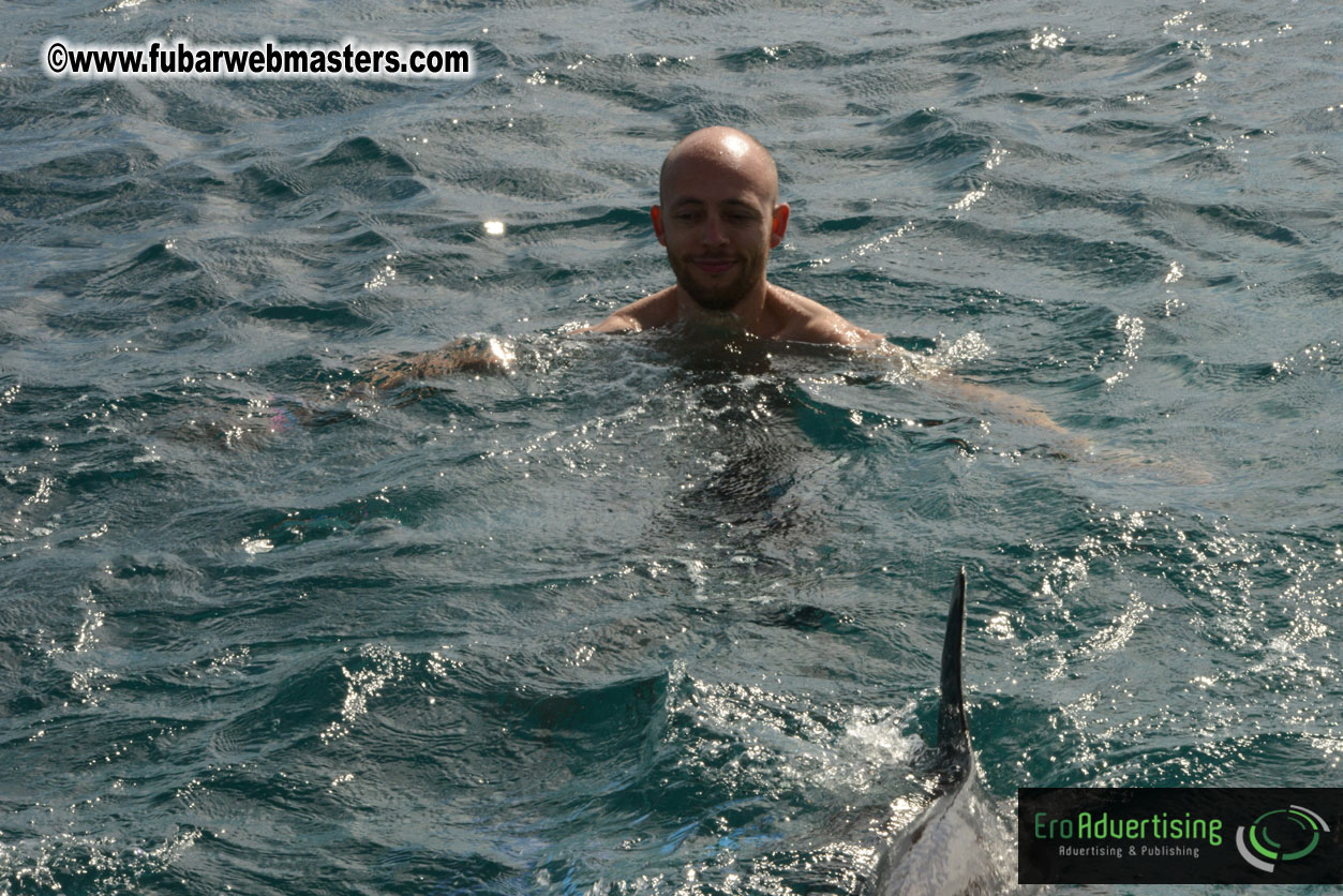 WireCard Dolphin Swim