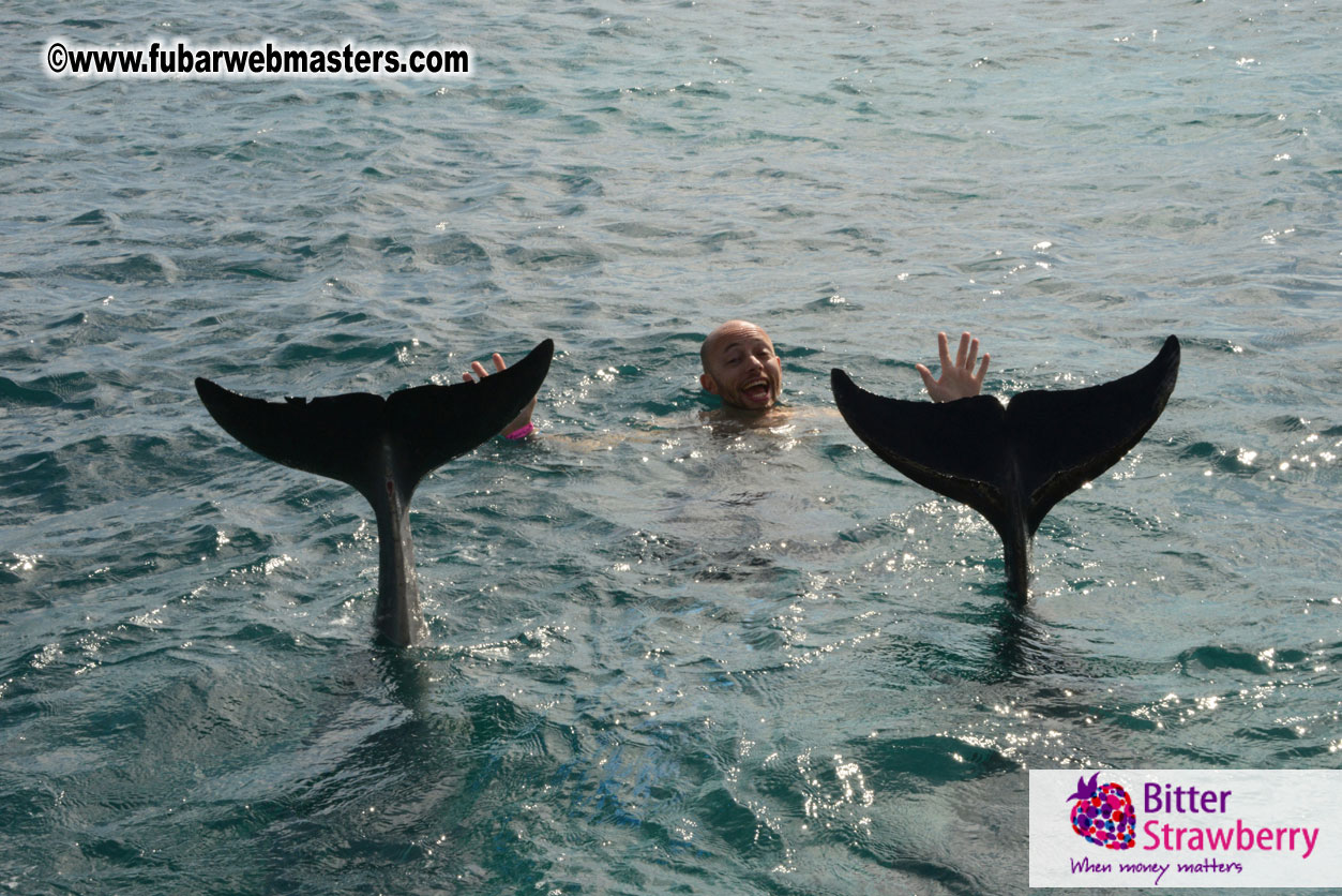 WireCard Dolphin Swim