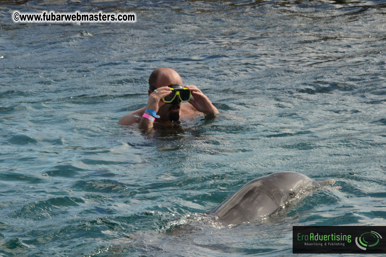 WireCard Dolphin Swim