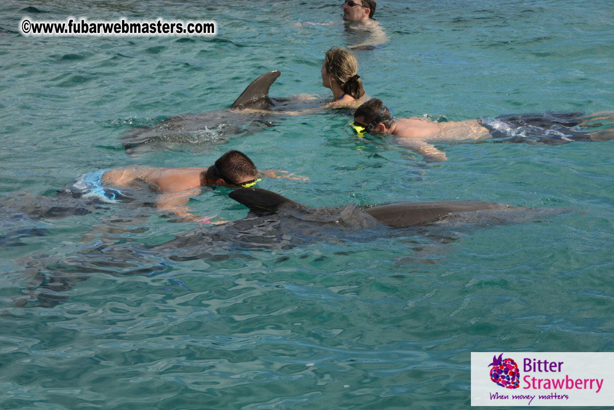 WireCard Dolphin Swim