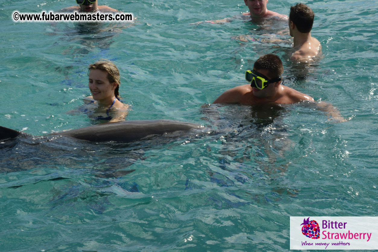 WireCard Dolphin Swim