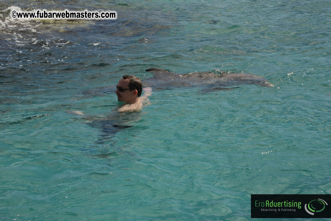 WireCard Dolphin Swim