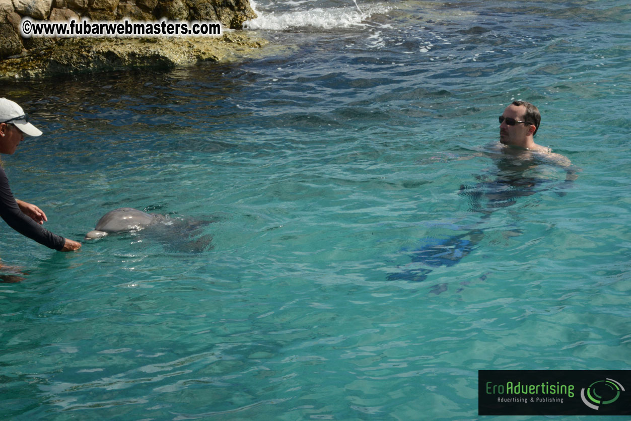 WireCard Dolphin Swim