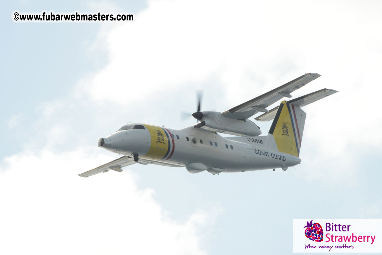 WireCard Dolphin Swim