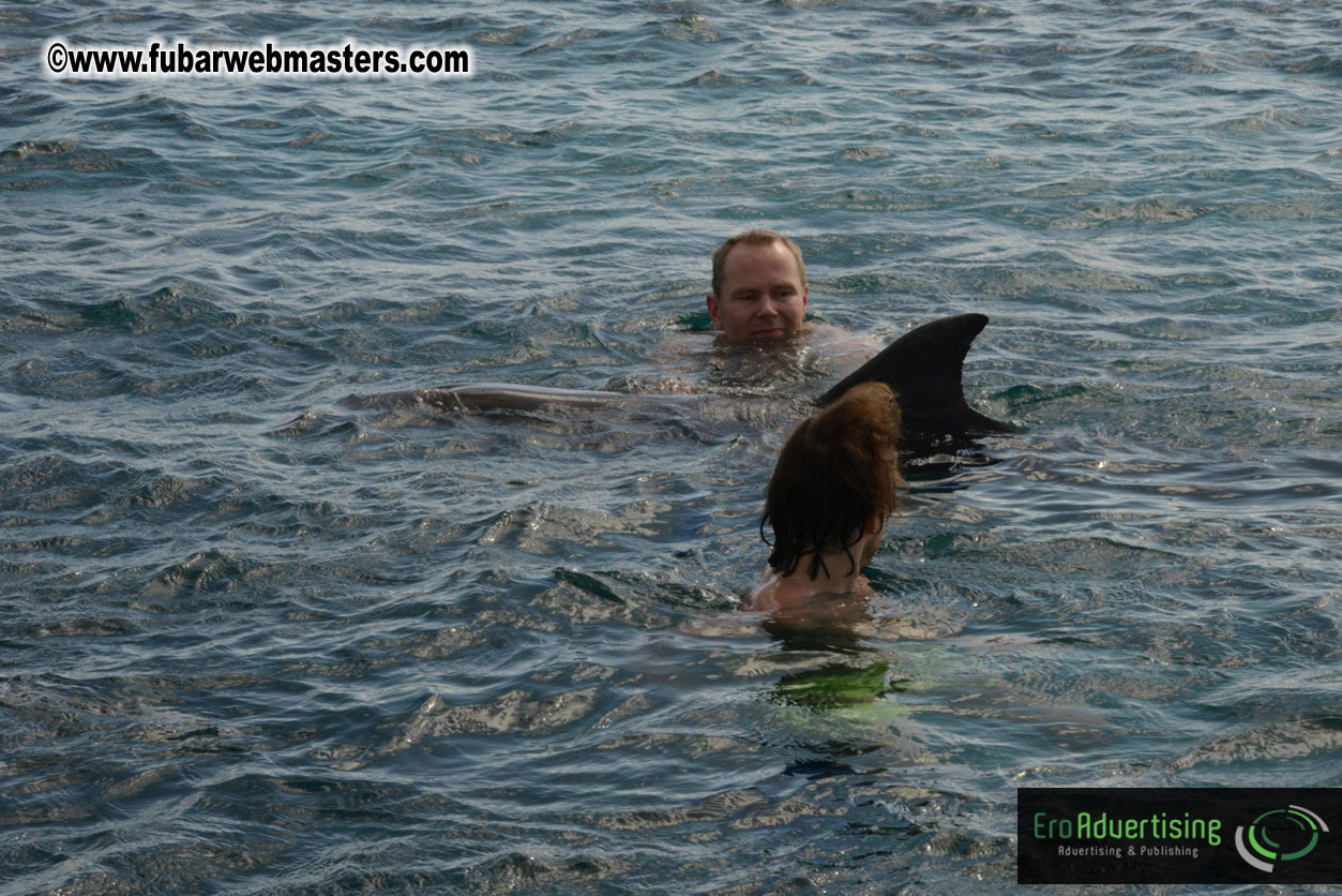 WireCard Dolphin Swim