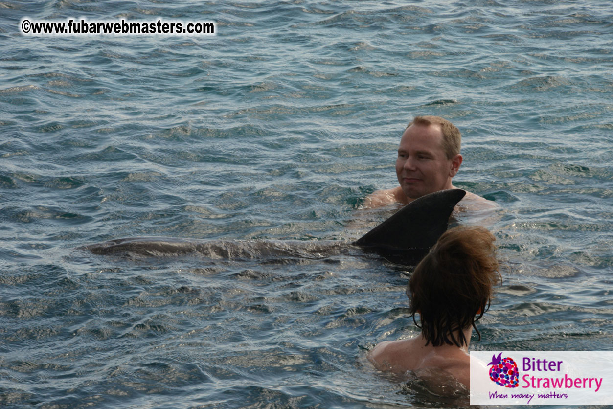 WireCard Dolphin Swim