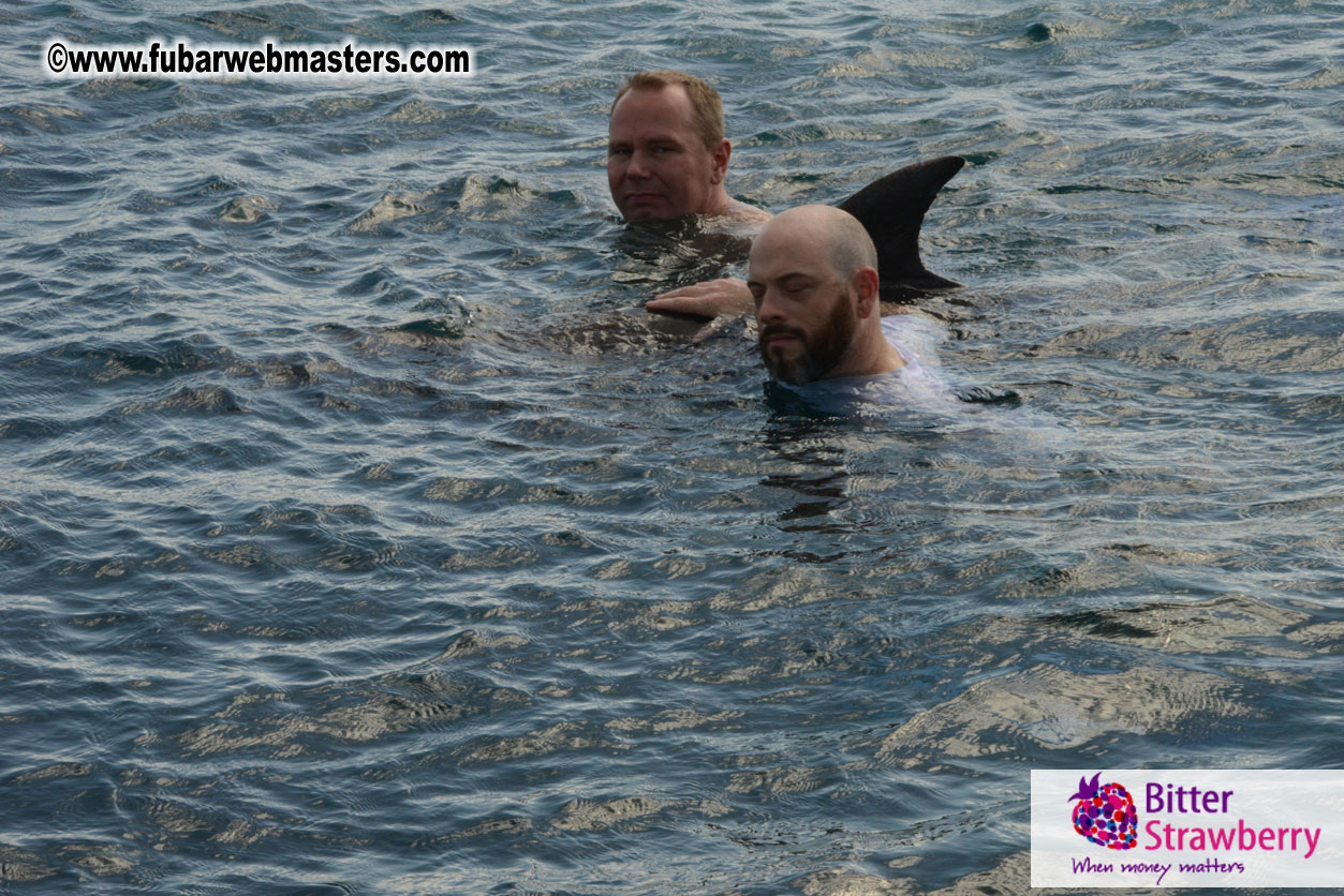 WireCard Dolphin Swim