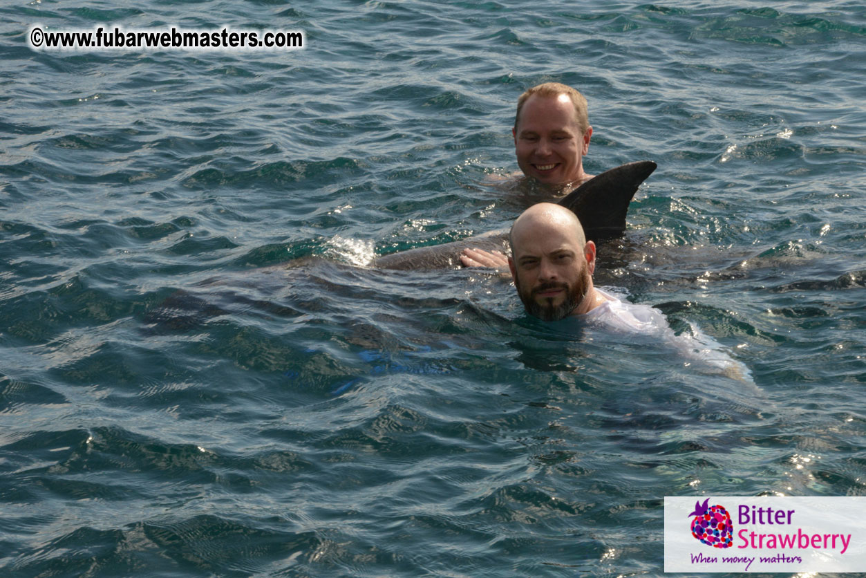 WireCard Dolphin Swim