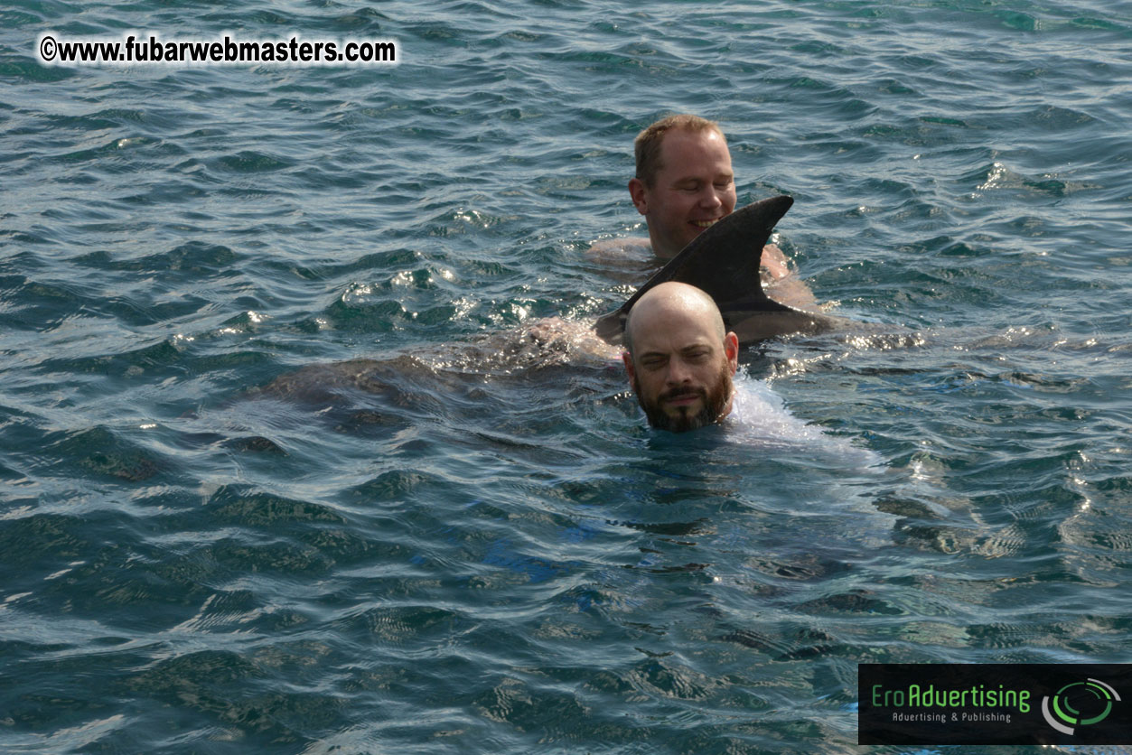 WireCard Dolphin Swim