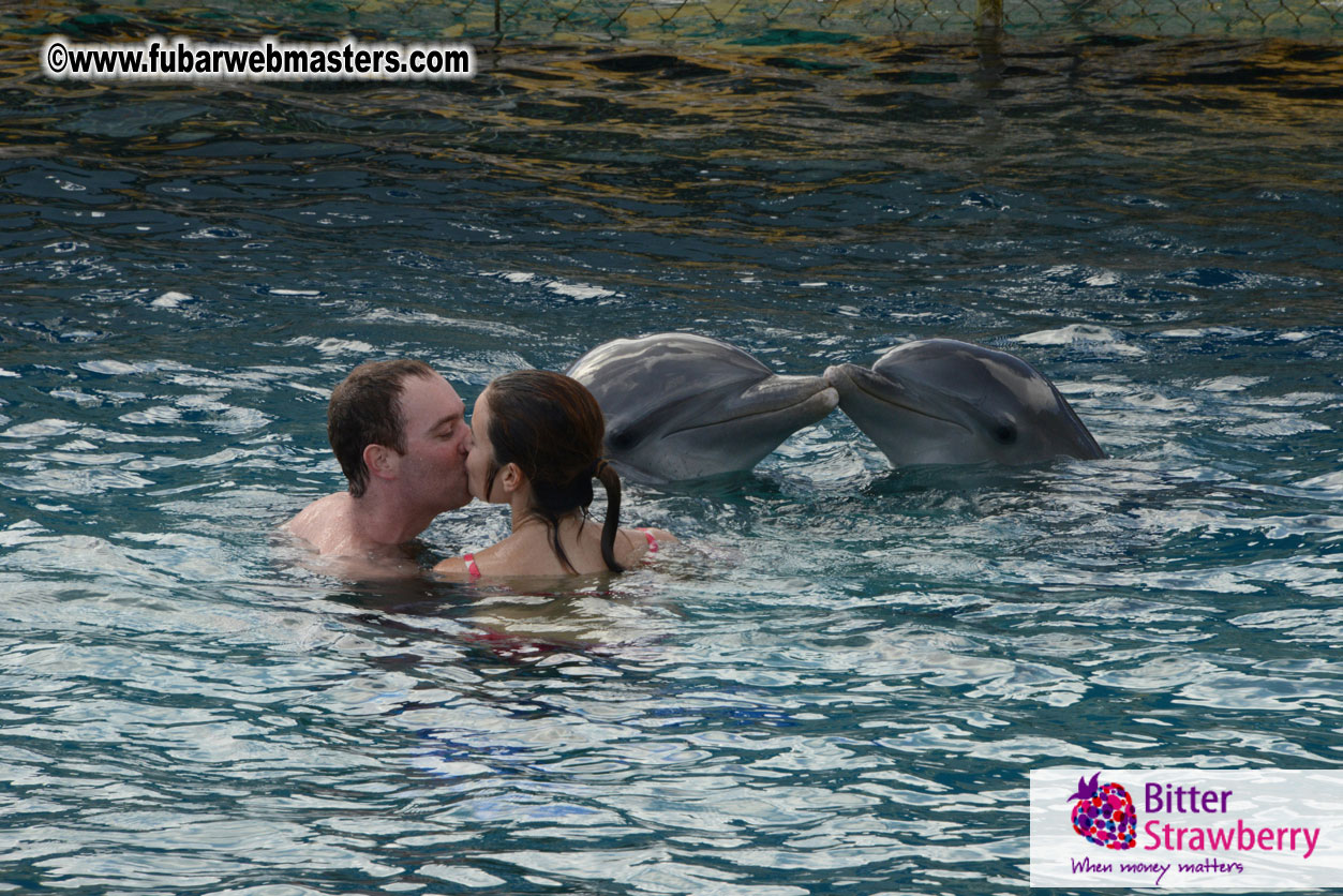 WireCard Dolphin Swim