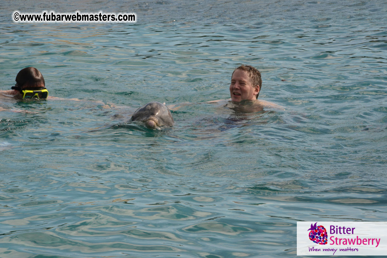 WireCard Dolphin Swim