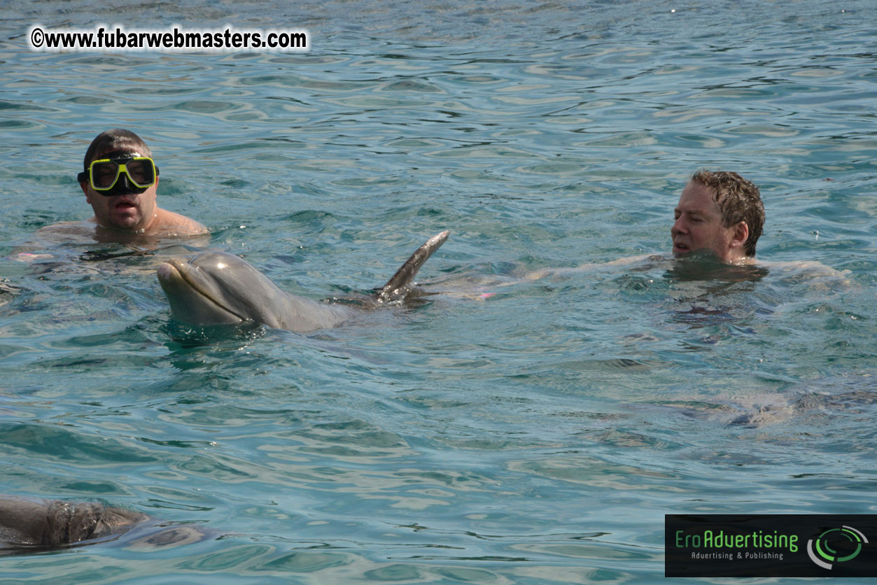 WireCard Dolphin Swim