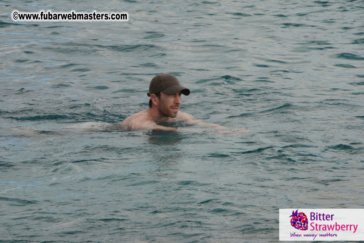 WireCard Dolphin Swim