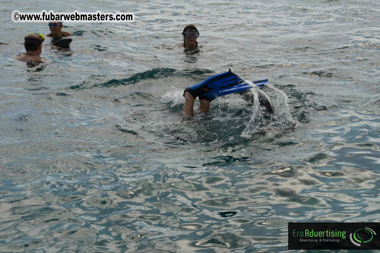 WireCard Dolphin Swim