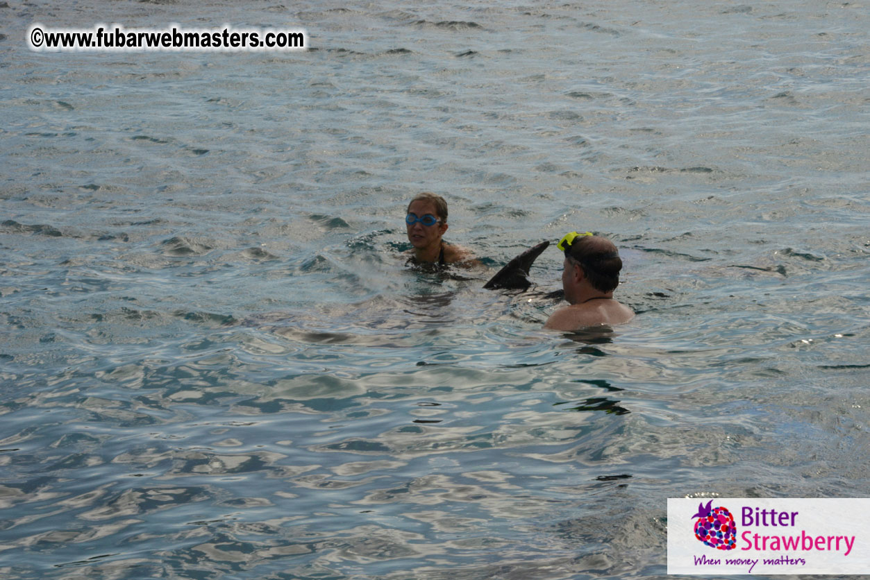 WireCard Dolphin Swim