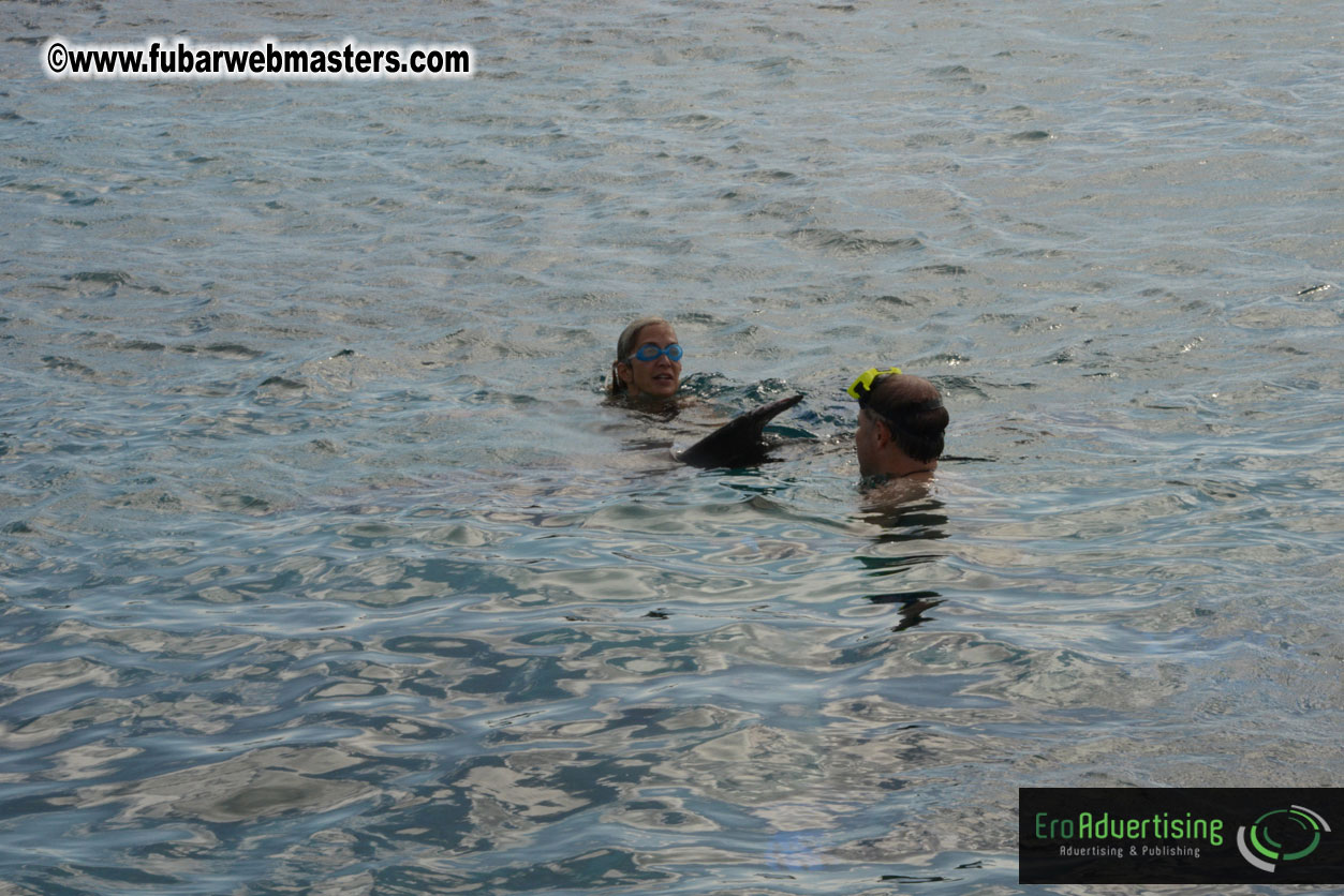 WireCard Dolphin Swim