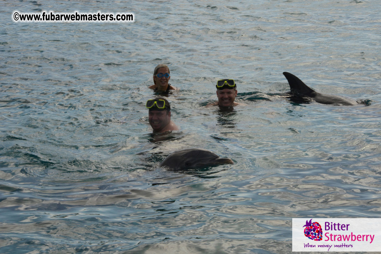 WireCard Dolphin Swim