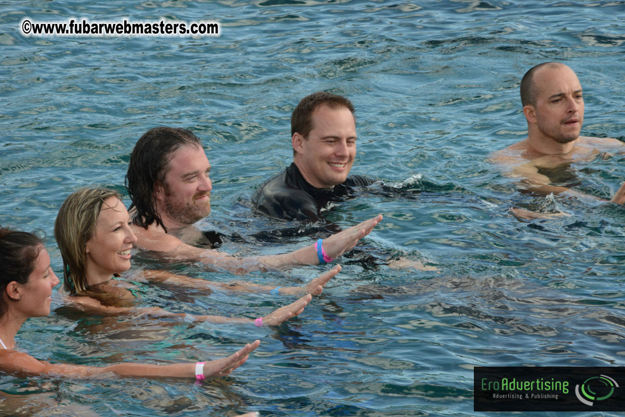 WireCard Dolphin Swim