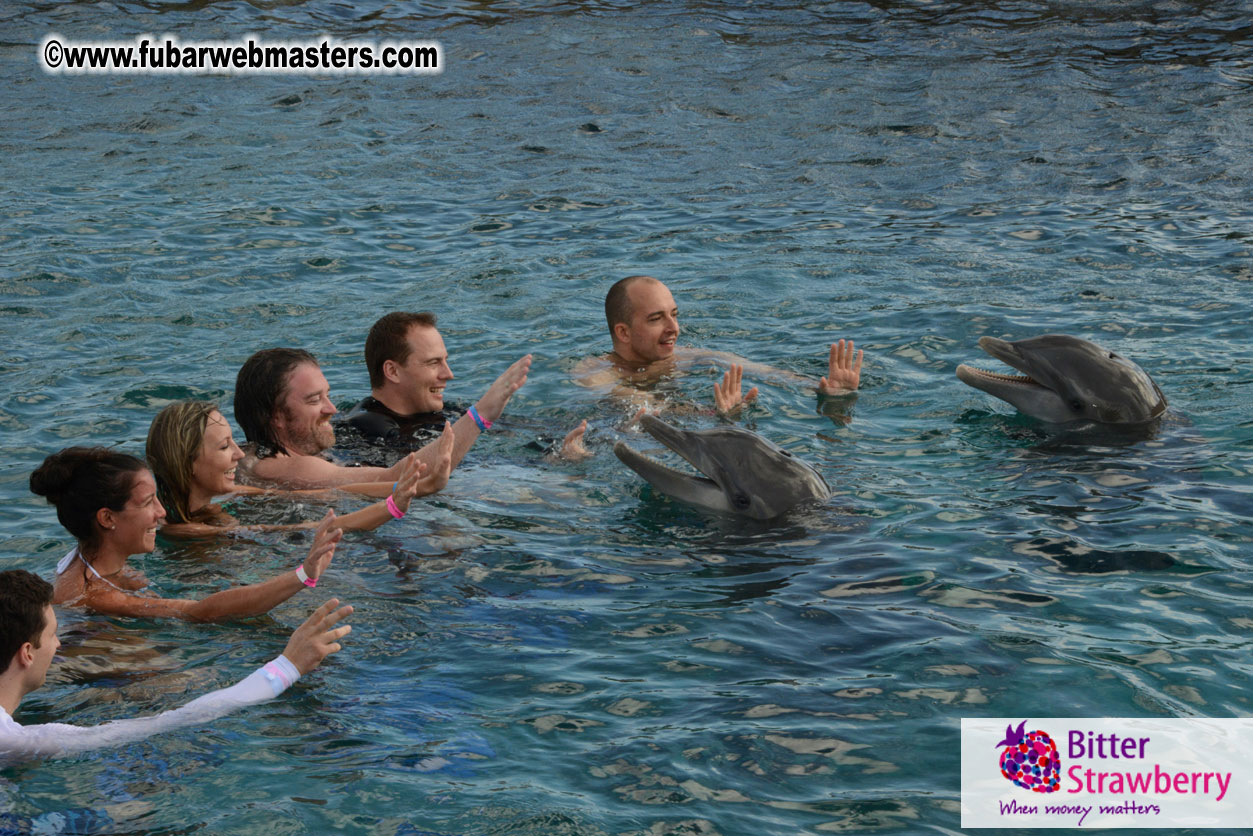 WireCard Dolphin Swim