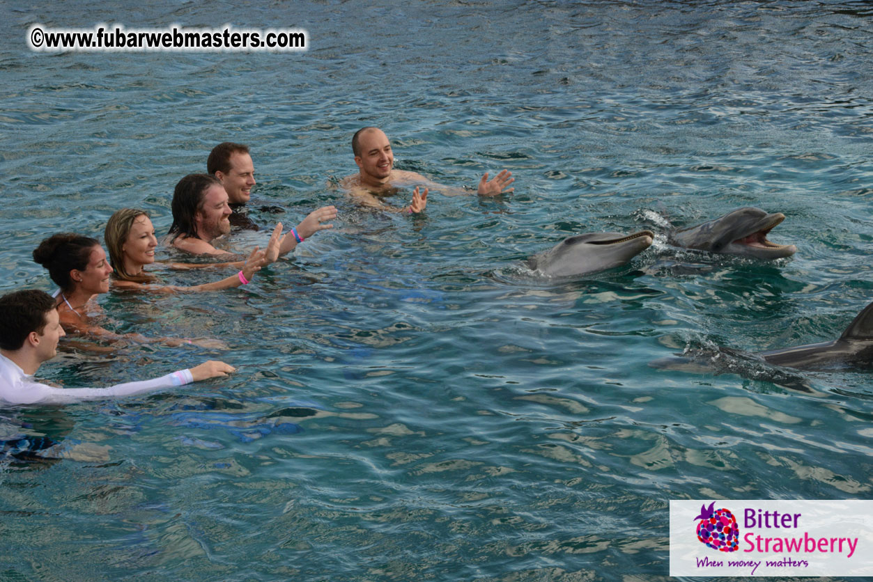 WireCard Dolphin Swim