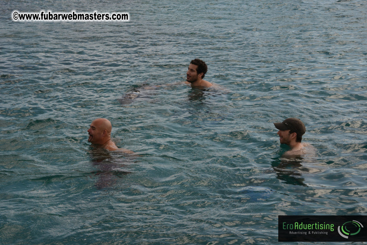 WireCard Dolphin Swim