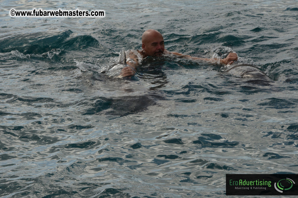 WireCard Dolphin Swim