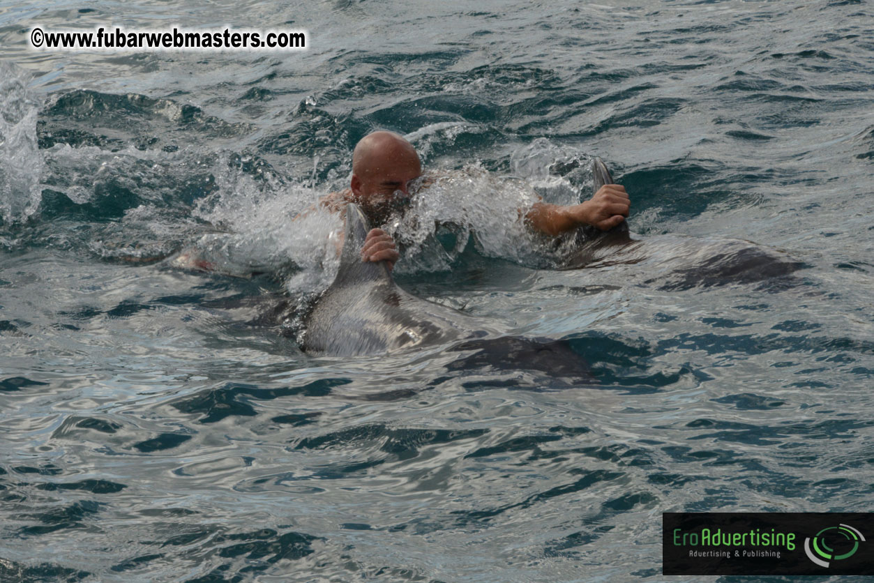 WireCard Dolphin Swim