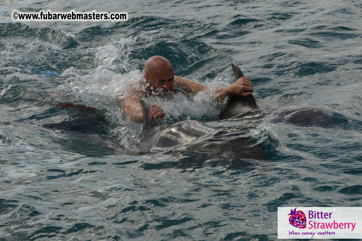 WireCard Dolphin Swim