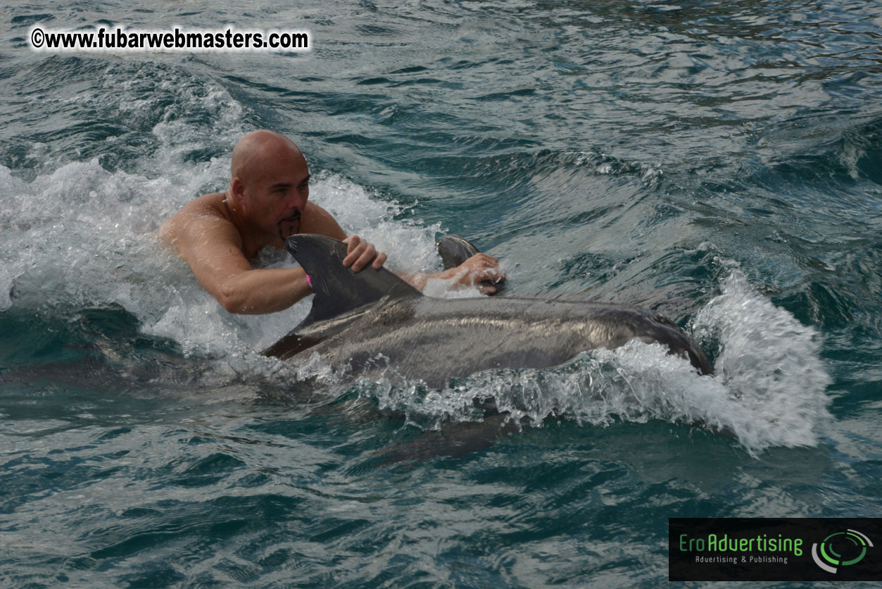 WireCard Dolphin Swim