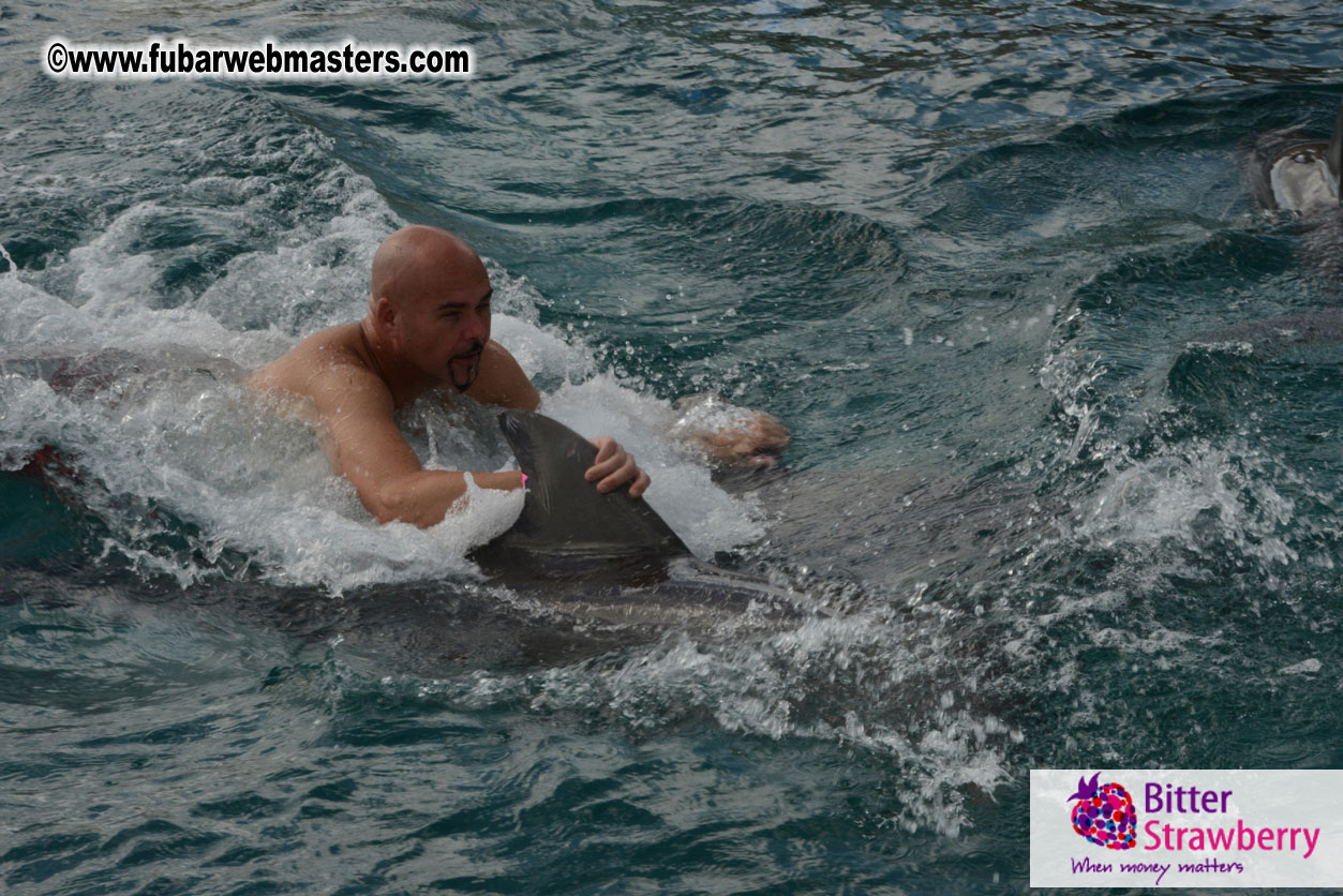 WireCard Dolphin Swim