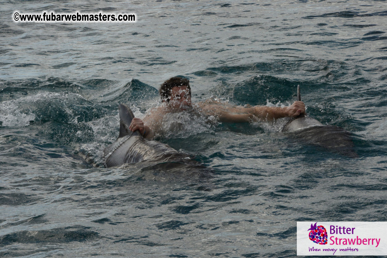 WireCard Dolphin Swim