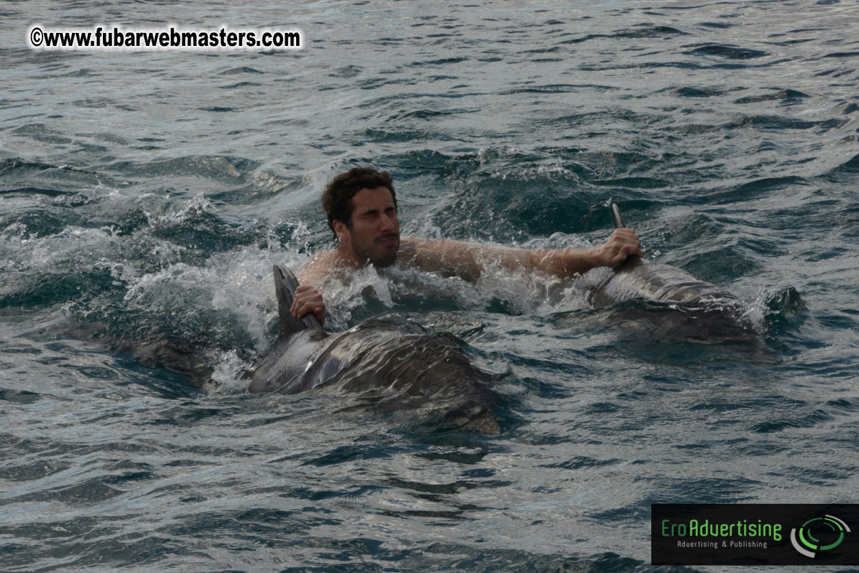 WireCard Dolphin Swim