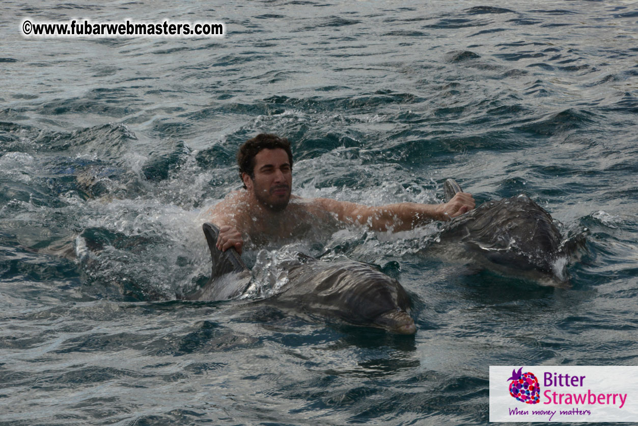 WireCard Dolphin Swim