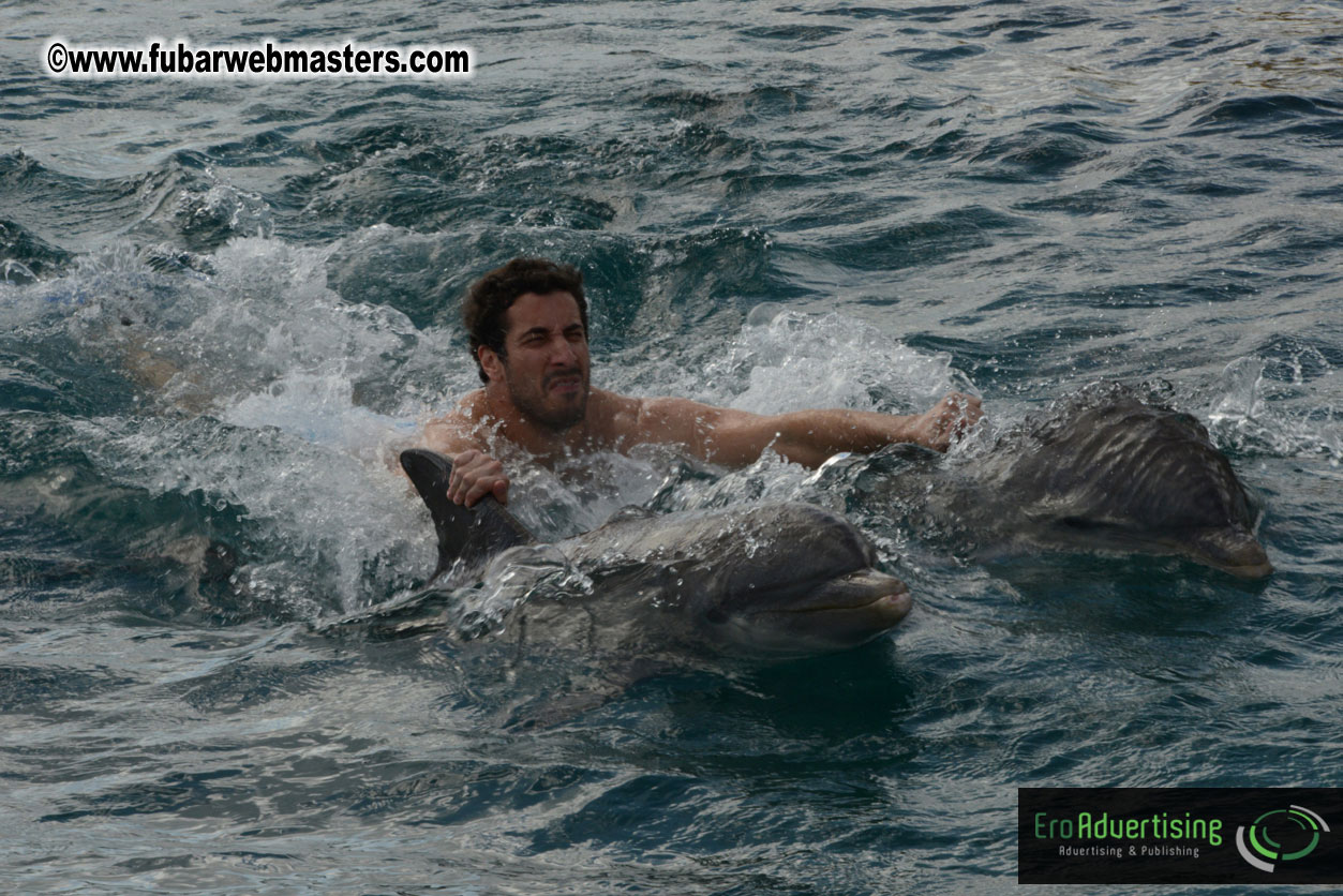 WireCard Dolphin Swim