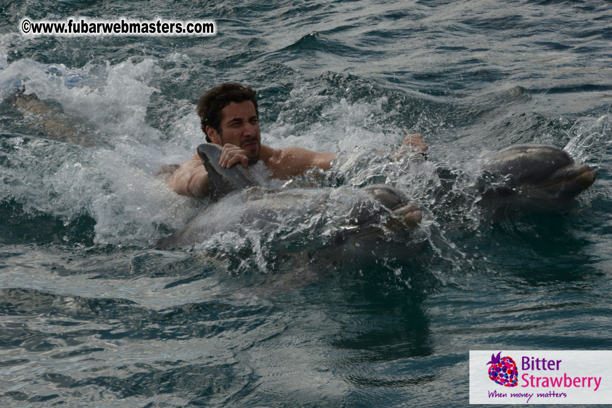 WireCard Dolphin Swim