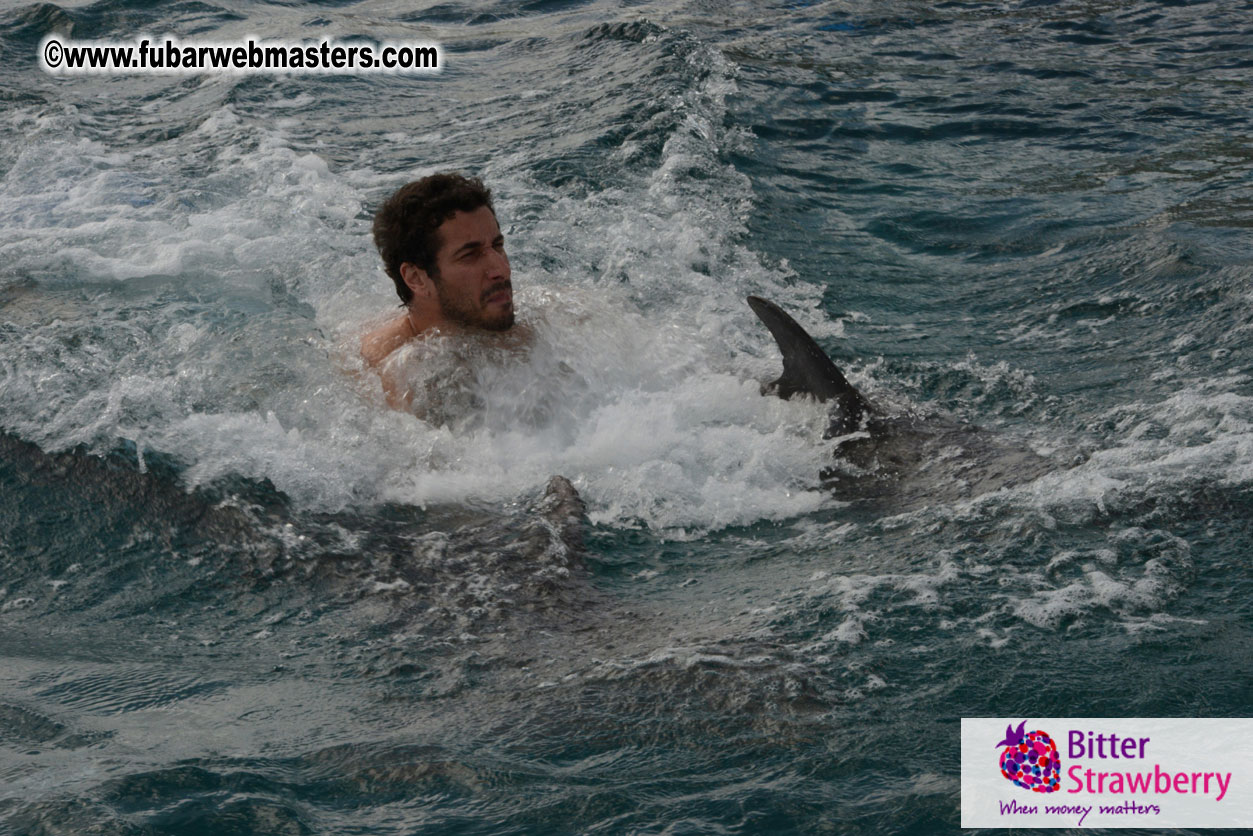 WireCard Dolphin Swim