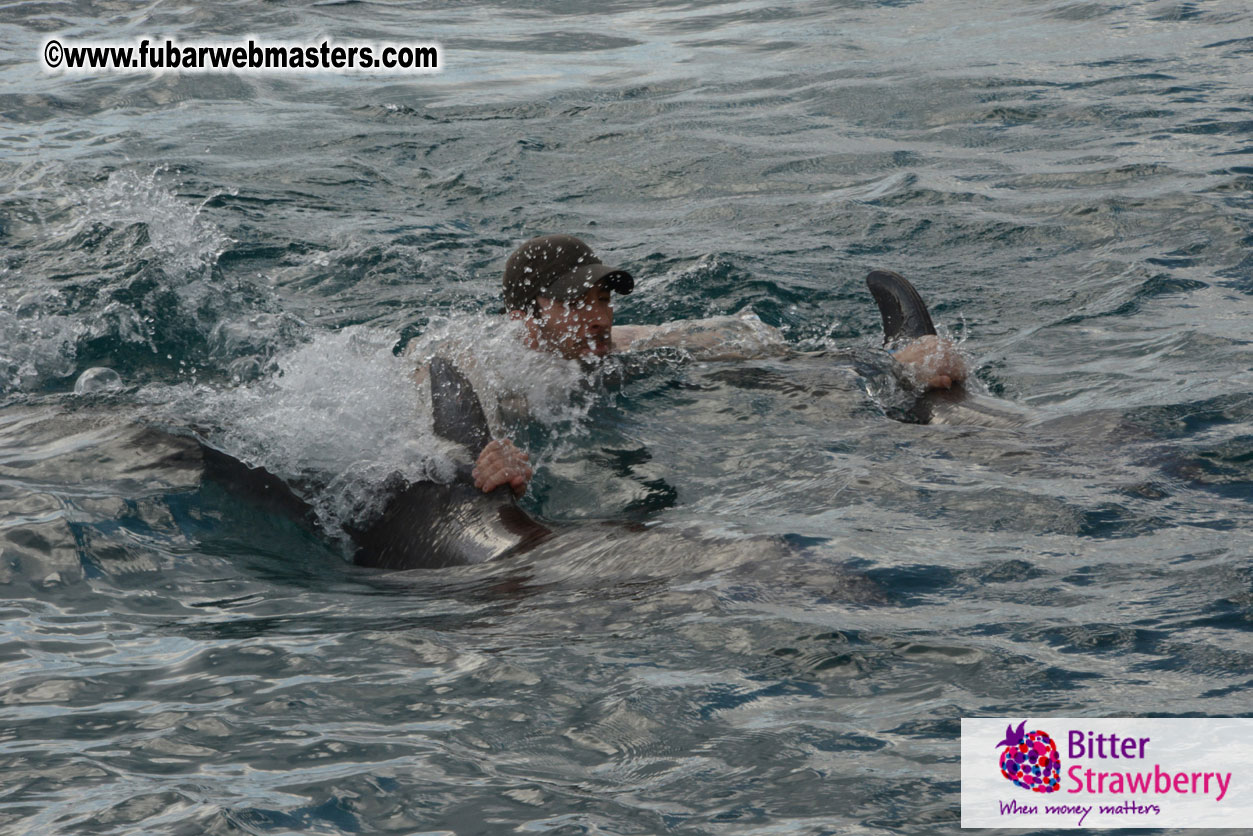 WireCard Dolphin Swim