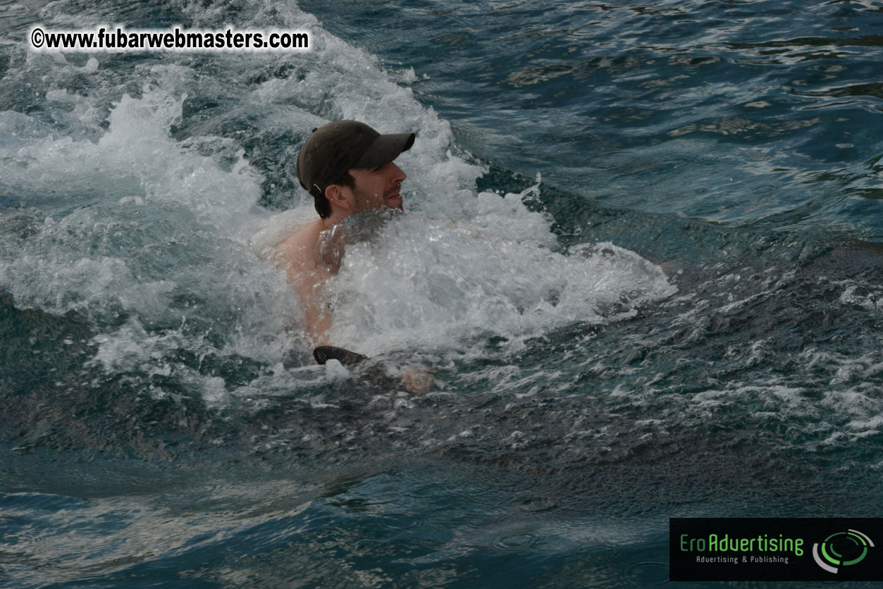 WireCard Dolphin Swim