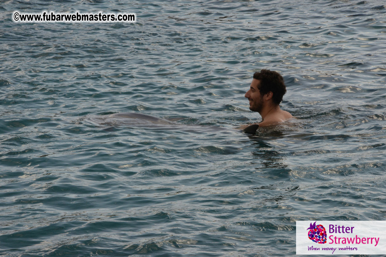 WireCard Dolphin Swim