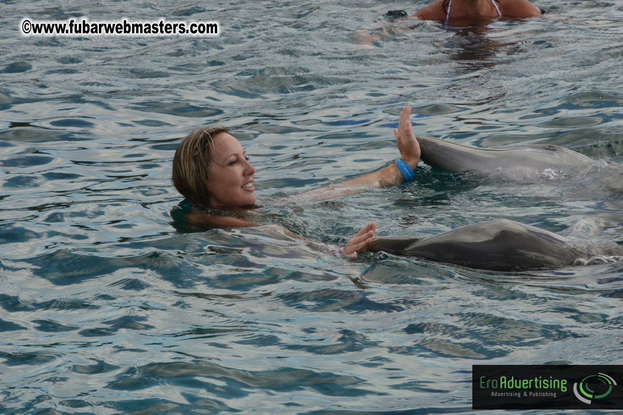 WireCard Dolphin Swim