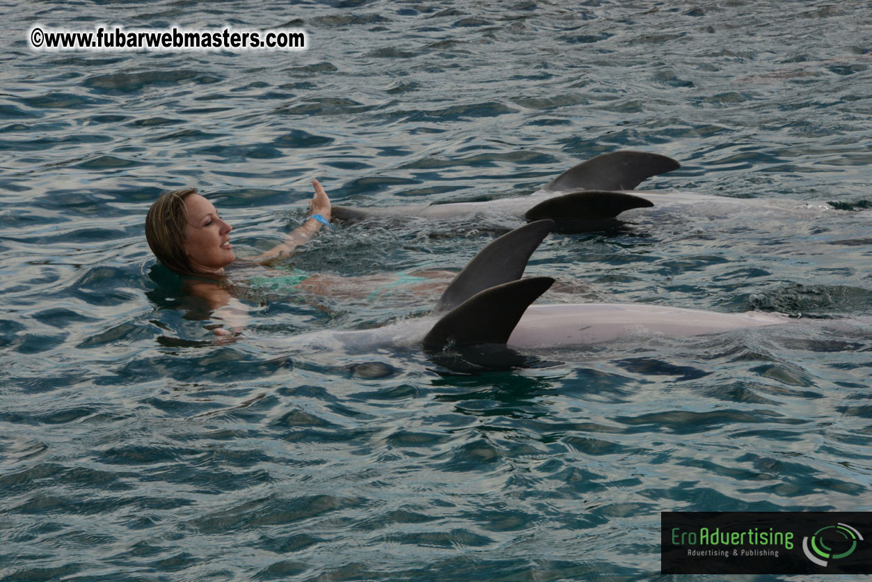 WireCard Dolphin Swim