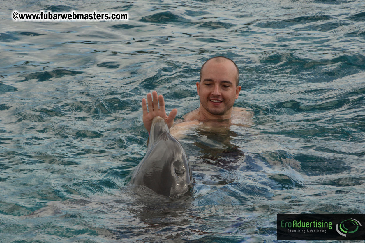 WireCard Dolphin Swim