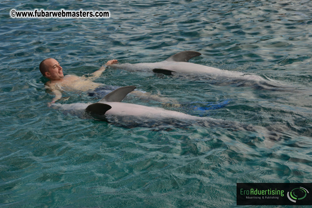 WireCard Dolphin Swim
