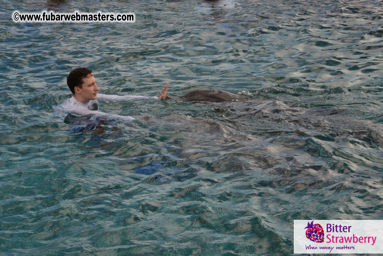 WireCard Dolphin Swim