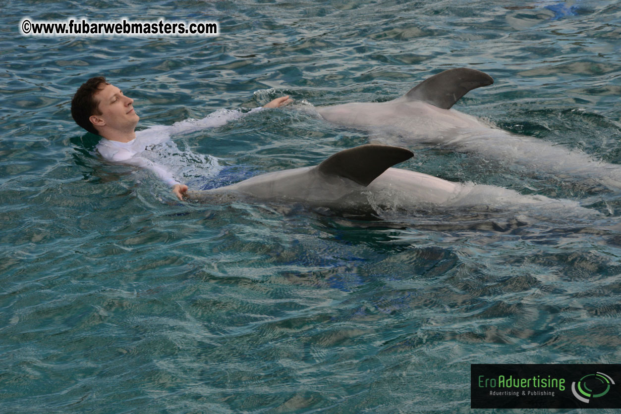 WireCard Dolphin Swim